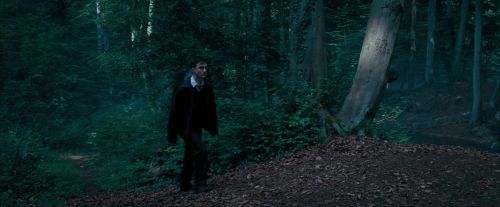 OdF-Potterish_3077.jpg