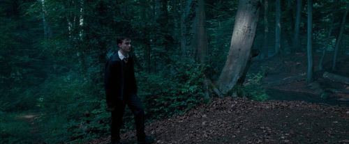 OdF-Potterish_3078.jpg