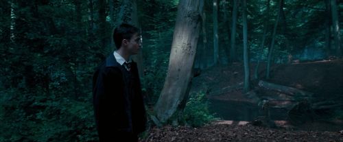 OdF-Potterish_3081.jpg