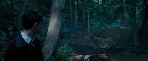 OdF-Potterish_3083.jpg