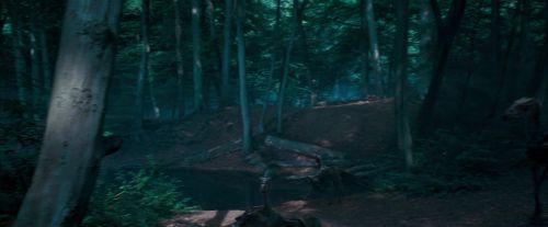 OdF-Potterish_3084.jpg