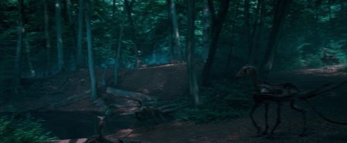 OdF-Potterish_3085.jpg