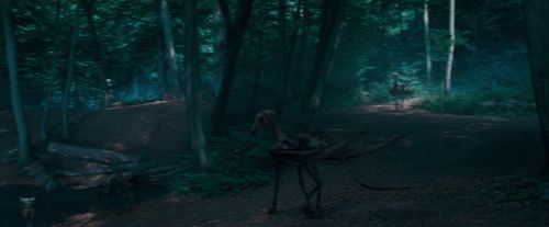 OdF-Potterish_3086.jpg
