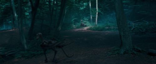 OdF-Potterish_3087.jpg