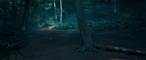 OdF-Potterish_3088.jpg