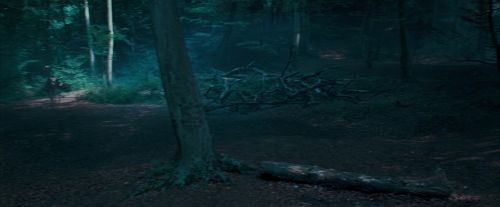 Click to view full size image
==============
OdF-Potterish_3089.jpg OdF-Potterish_3089.jpg