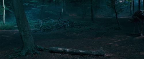 OdF-Potterish_3090.jpg