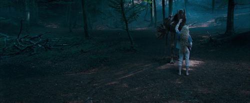 OdF-Potterish_3094.jpg