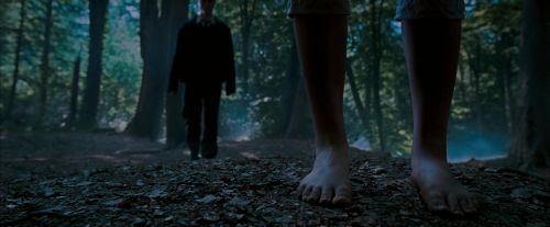 Click to view full size image
==============
OdF-Potterish_3099.jpg OdF-Potterish_3099.jpg