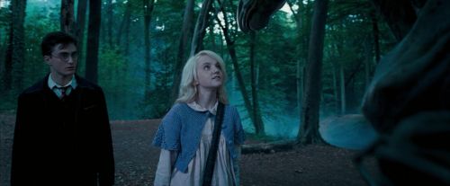 OdF-Potterish_3103.jpg