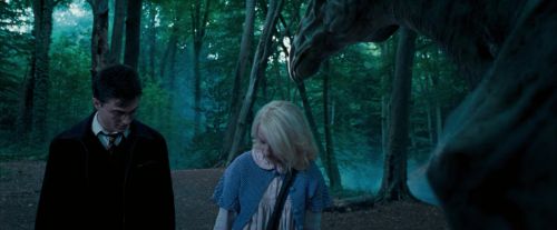 Click to view full size image
==============
OdF-Potterish_3108.jpg OdF-Potterish_3108.jpg