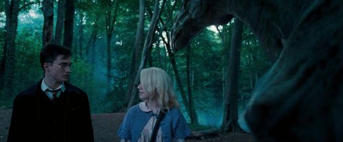 OdF-Potterish_3111.jpg