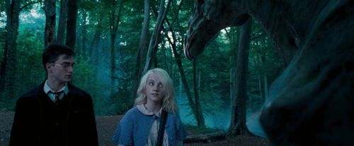Click to view full size image
==============
OdF-Potterish_3112.jpg OdF-Potterish_3112.jpg