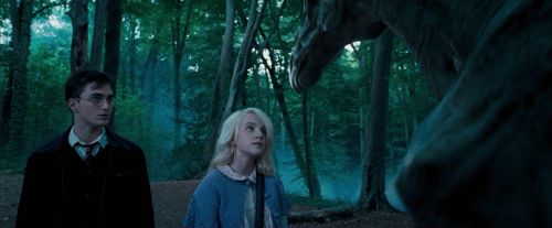OdF-Potterish_3113.jpg