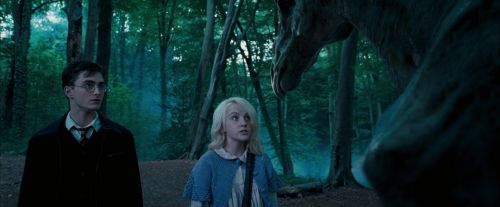 OdF-Potterish_3114.jpg