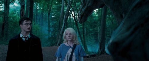 OdF-Potterish_3115.jpg