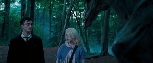 OdF-Potterish_3116.jpg