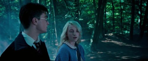 Click to view full size image
==============
OdF-Potterish_3119.jpg OdF-Potterish_3119.jpg
