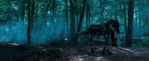 OdF-Potterish_3128.jpg