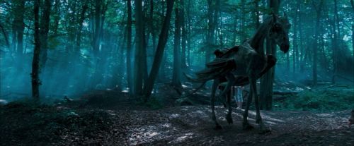 OdF-Potterish_3131.jpg