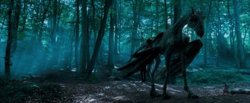 OdF-Potterish_3132.jpg