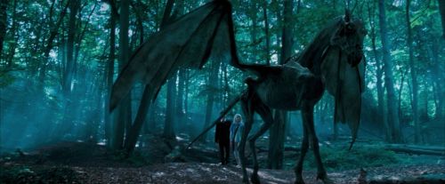 OdF-Potterish_3133.jpg