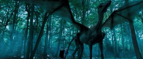 OdF-Potterish_3134.jpg