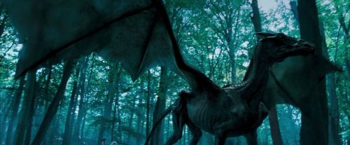 Click to view full size image
==============
OdF-Potterish_3136.jpg OdF-Potterish_3136.jpg