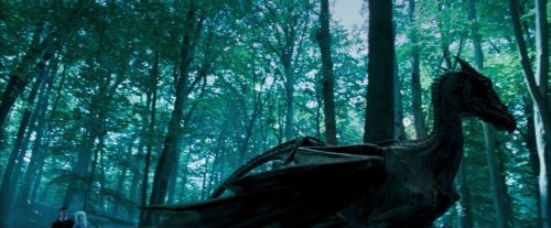 OdF-Potterish_3138.jpg