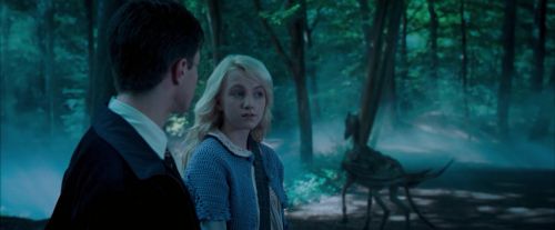 Click to view full size image
==============
OdF-Potterish_3140.jpg OdF-Potterish_3140.jpg