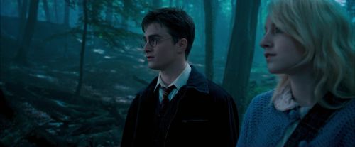 OdF-Potterish_3146.jpg