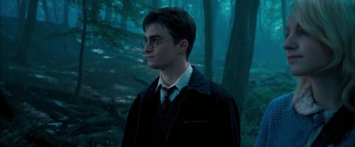 OdF-Potterish_3147.jpg