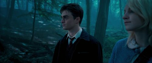 Click to view full size image
==============
OdF-Potterish_3148.jpg OdF-Potterish_3148.jpg
