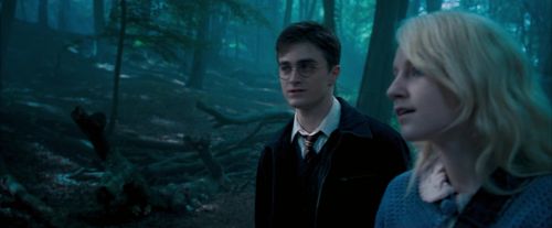 OdF-Potterish_3152.jpg