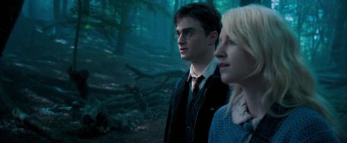 OdF-Potterish_3153.jpg