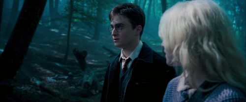 OdF-Potterish_3154.jpg