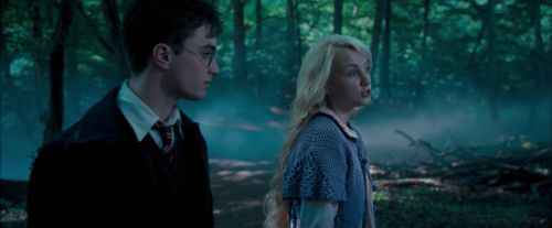 Click to view full size image
==============
OdF-Potterish_3167.jpg OdF-Potterish_3167.jpg
