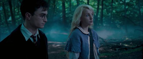 Click to view full size image
==============
OdF-Potterish_3174.jpg OdF-Potterish_3174.jpg