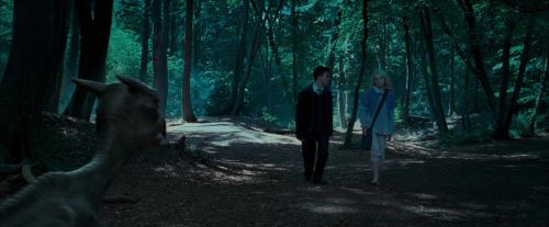 Click to view full size image
==============
OdF-Potterish_3180.jpg OdF-Potterish_3180.jpg