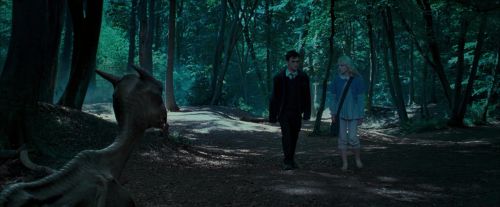 OdF-Potterish_3181.jpg