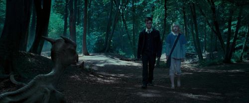 OdF-Potterish_3183.jpg