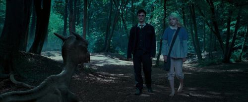 OdF-Potterish_3186.jpg