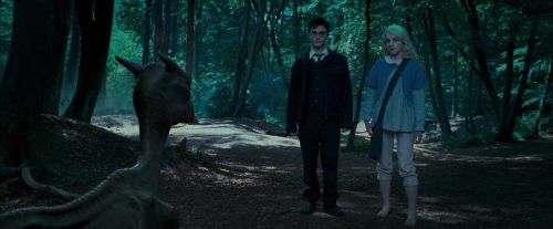 Click to view full size image
==============
OdF-Potterish_3187.jpg OdF-Potterish_3187.jpg