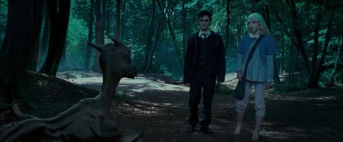 OdF-Potterish_3188.jpg