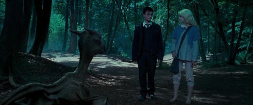 Click to view full size image
==============
OdF-Potterish_3189.jpg OdF-Potterish_3189.jpg