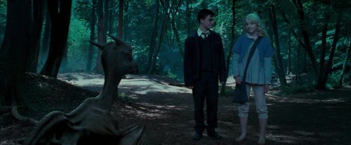 Click to view full size image
==============
OdF-Potterish_3190.jpg OdF-Potterish_3190.jpg