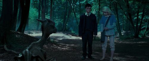 OdF-Potterish_3192.jpg