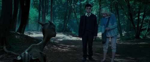 Click to view full size image
==============
OdF-Potterish_3193.jpg OdF-Potterish_3193.jpg
