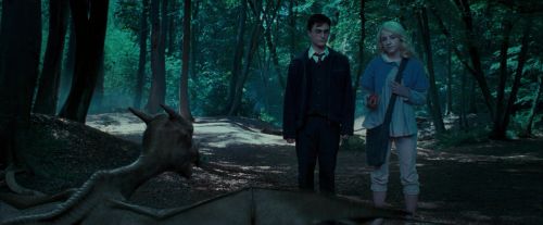 OdF-Potterish_3196.jpg