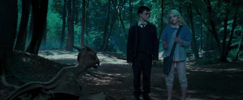OdF-Potterish_3197.jpg
